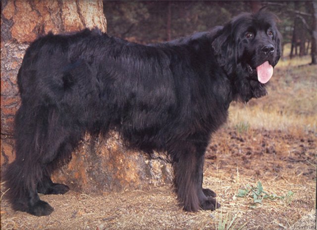 Фотография № 60439