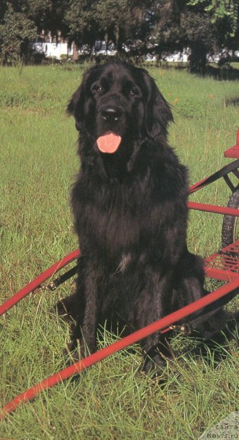 Фотография № 60440