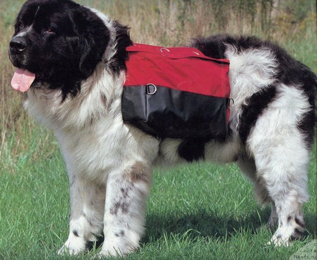 Фотография № 60442