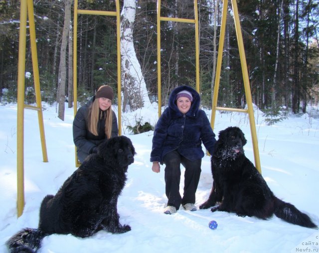 Фото: ньюфаундленд Koldovskaya Lyubov' (Колдовская Любовь), ньюфаундленд Super Bizon Deka (Супер Бизон Дека), Ekaterina Jironkina (Екатерина Жиронкина), Alyona SCHelkonogova (Алёна Щелконогова)