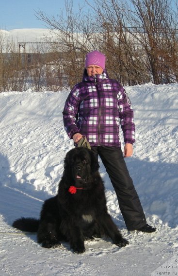 Фотография № 60550