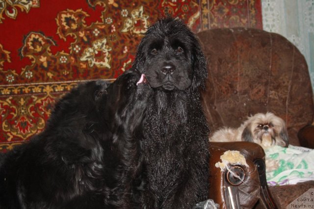 Фотография № 60557