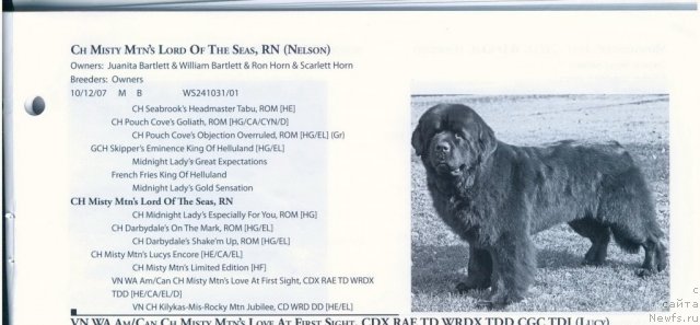 Фотография № 60573