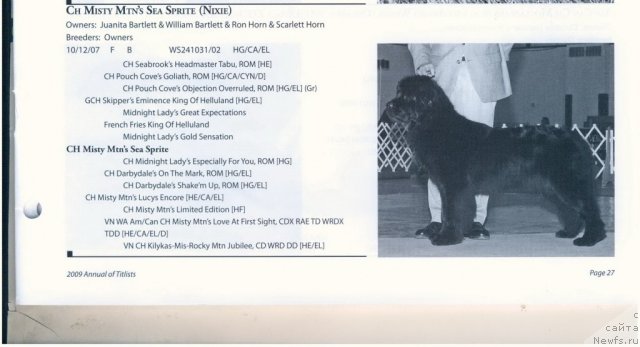 Фотография № 60575