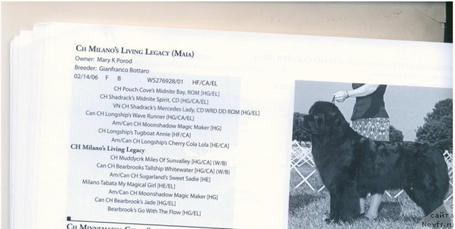 Фотография № 60576