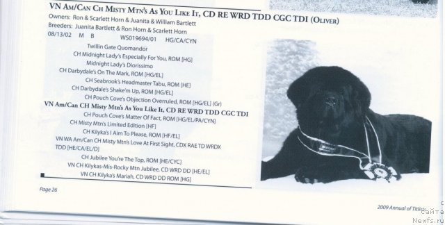 Фотография № 60578