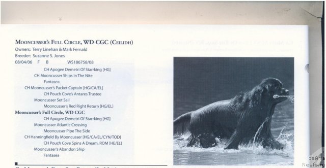 Фотография № 60579