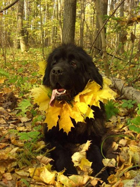 Фотография № 6058