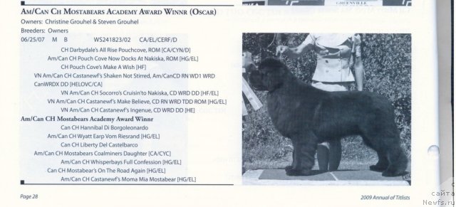 Фотография № 60581