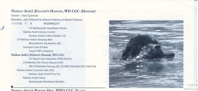 Фотография № 60582