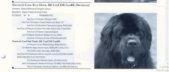 Фотография № 60584