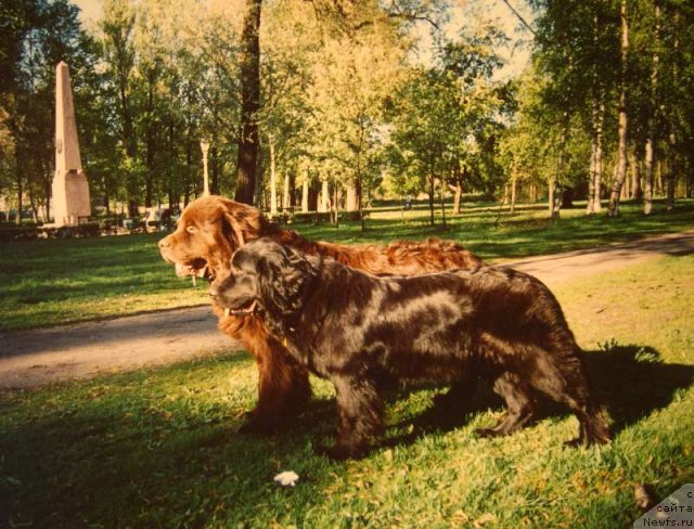 Фотография № 60596