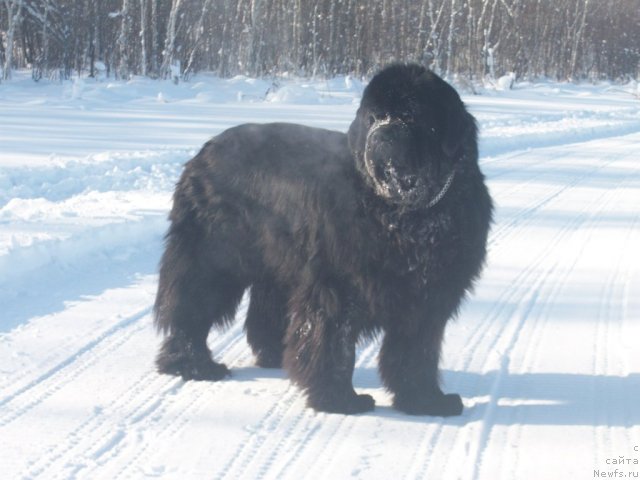 Фотография № 60637