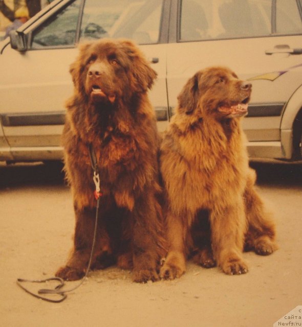 Фотография № 60649