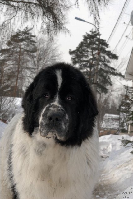 Фотография № 60675