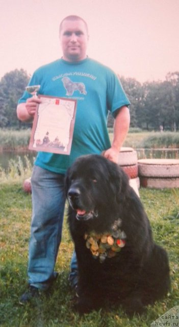 Фото: Aleksandr Bespechnyiy (Александр Беспечный), ньюфаундленд Jadar (Жадар)