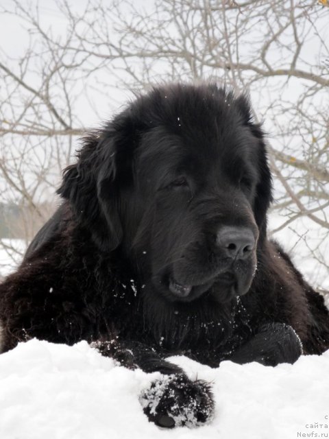 Фотография № 60695