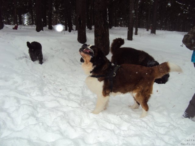 Фотография № 60708