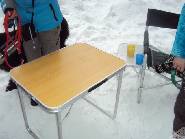 Фотография № 60709