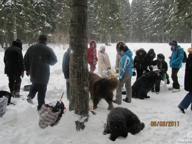 Фотография № 60711