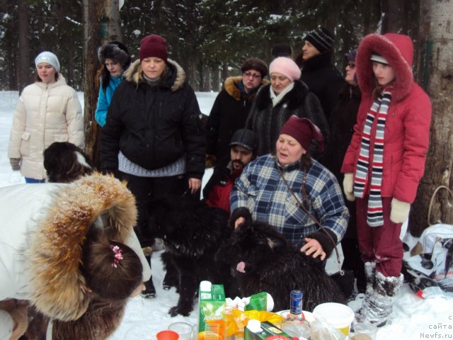 Фотография № 60722