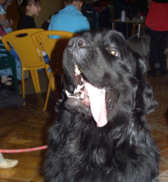 Фотография № 60728