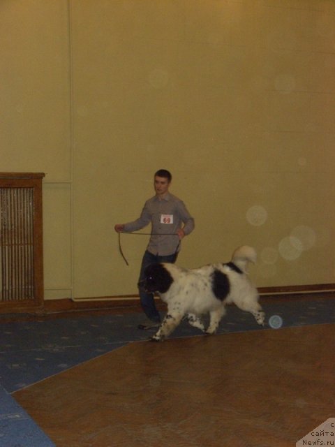 Фотография № 60729