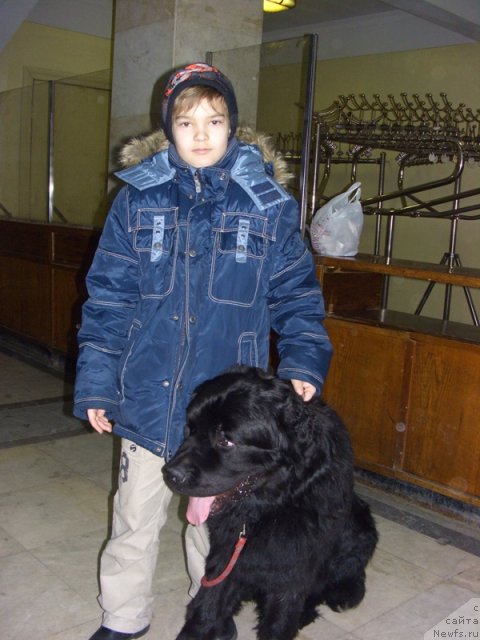 Фотография № 60730