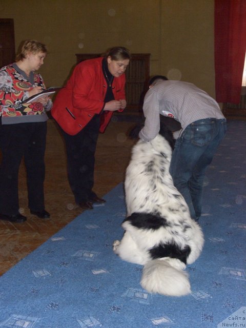 Фотография № 60754