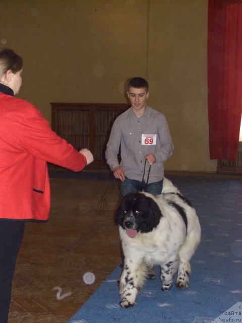 Фотография № 60755