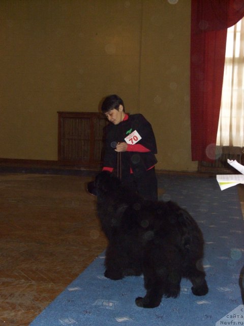 Фотография № 60757