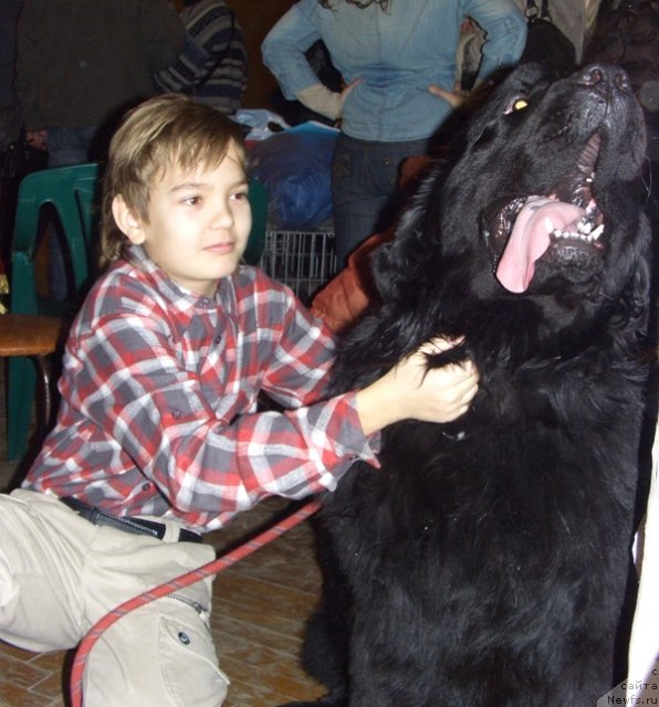 Фотография № 60758