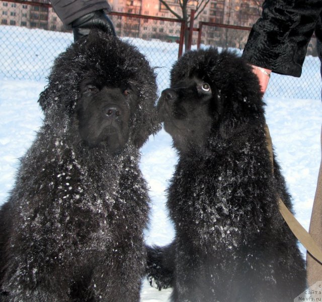 Фотография № 60771