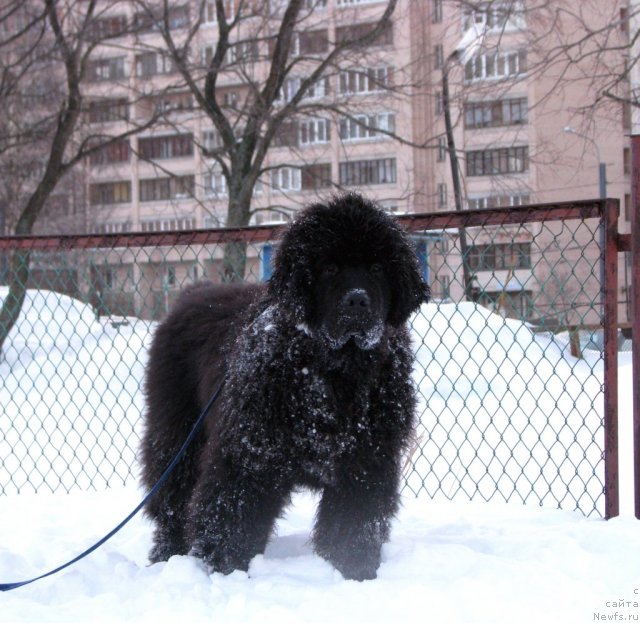 Фотография № 60777