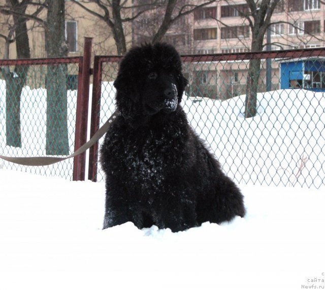 Фотография № 60778