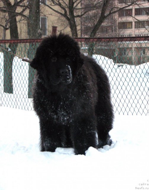 Фотография № 60779