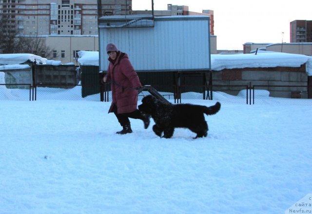 Фотография № 60780