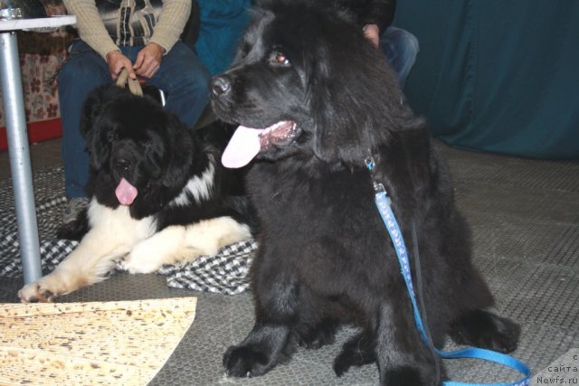 Фотография № 60787