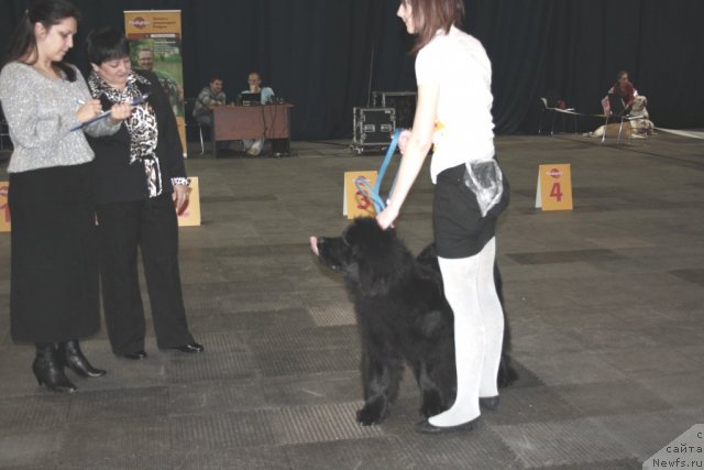 Фотография № 60791