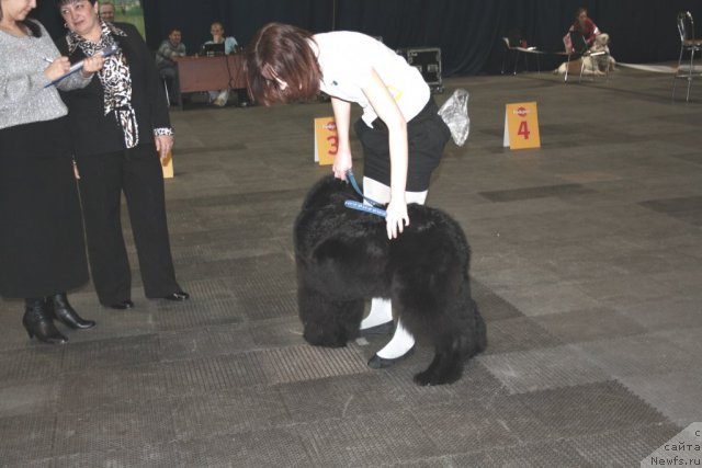 Фотография № 60792