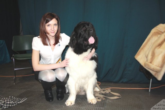 Фотография № 60794