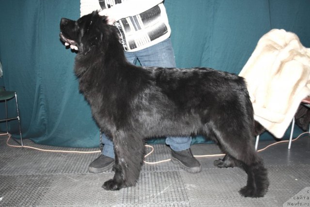 Фотография № 60795