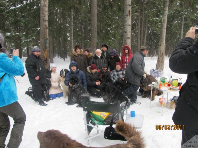Фото: Aleksandr Filatov (Александр Филатов), Irina Gabova (Ирина Габова), Aleksey Nistratov (Алексей Нистратов), ньюфаундленд Ih Vyisochestvo Vladlena Madjiks (Их Высочество Владлена Маджикс), ньюфаундленд Komandor iz Medvej'ego YAra (Командор из Медвежьего Яра), ньюфаундленд Aquatoriya Kelvin Olympus (Акватория Келвин Олимпус), Svetlana Plotnikova (Светлана Плотникова), YEl'vira Sumina (Эльвира Сумина)