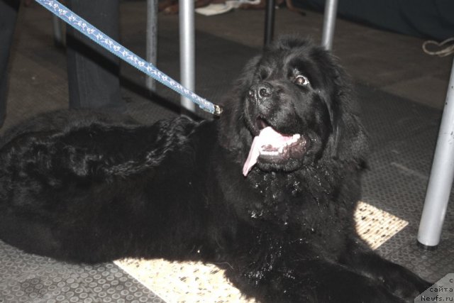 Фотография № 60797