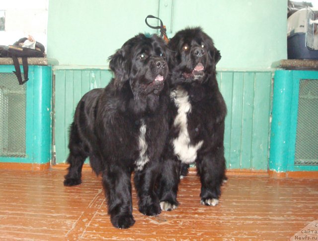 Фотография № 60799