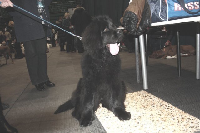 Фотография № 60801