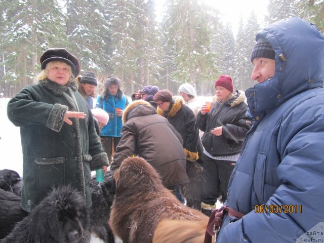 Фото: Aleksey Nistratov (Алексей Нистратов), YEl'vira Sumina (Эльвира Сумина), ньюфаундленд Komandor iz Medvej'ego YAra (Командор из Медвежьего Яра)