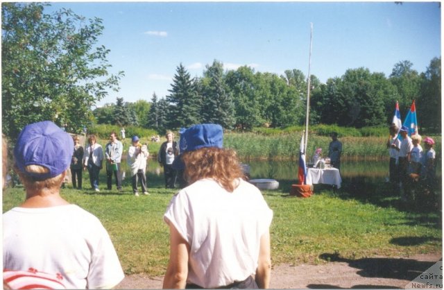 Фотография № 60817