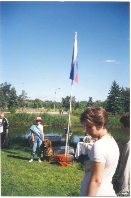 Фотография № 60819