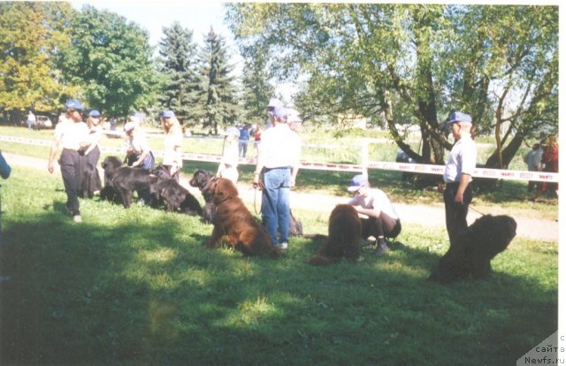 Фотография № 60820